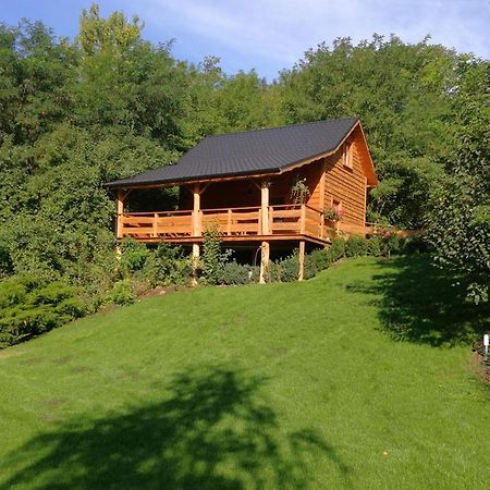 Ślesin Villa Eden المظهر الخارجي الصورة