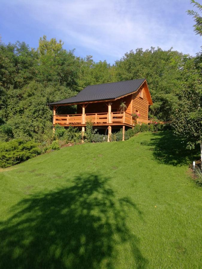 Ślesin Villa Eden المظهر الخارجي الصورة