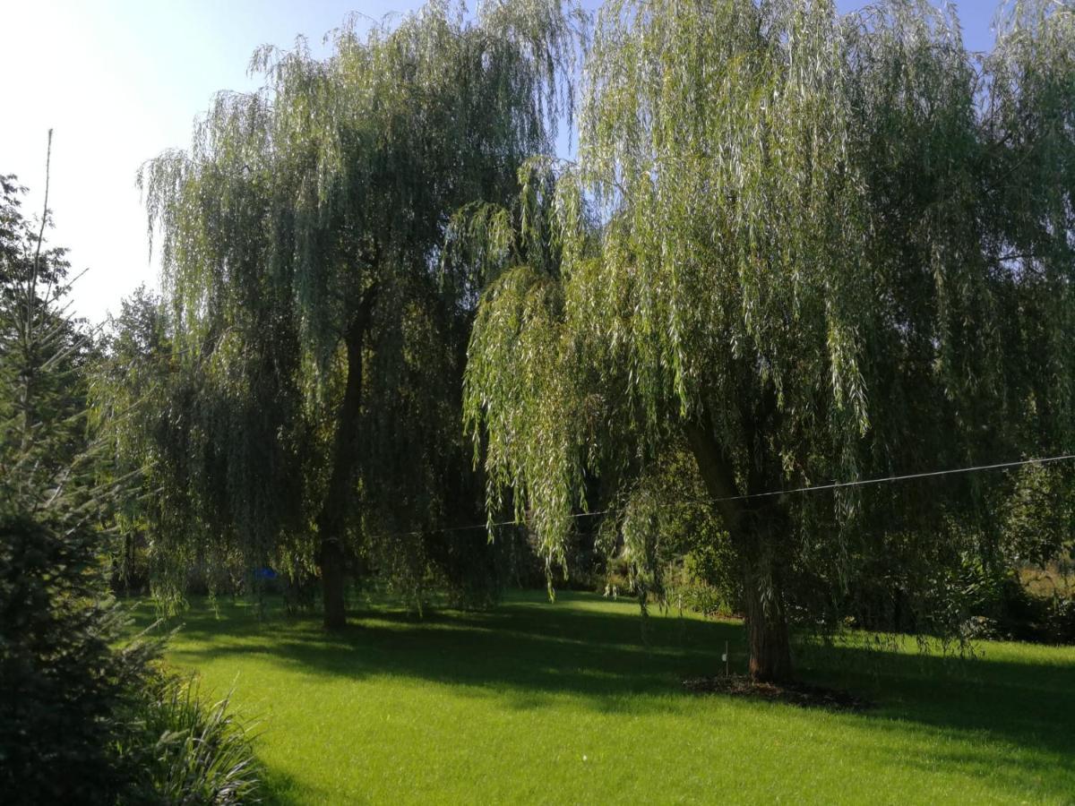 Ślesin Villa Eden المظهر الخارجي الصورة